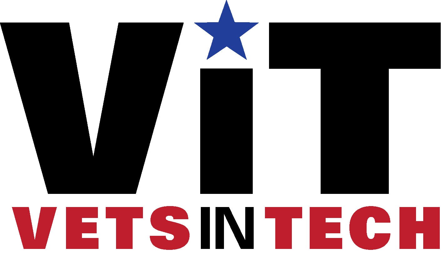 VetsInTech